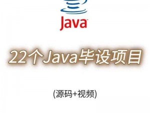 精品 JAVaparser 乱偷：专业视频解析工具，快速提取视频中的音频、字幕等元素