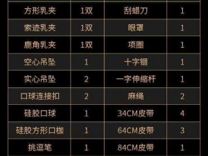 金牌惩戒师 SP 实验教程——专业惩戒师的必备工具