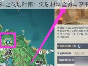 东原神之花坊时雨：突破材料全览与获取攻略