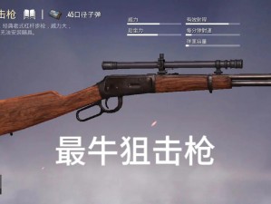 少女咖啡枪霰弹高手实力解析：霰弹射击模块深度探讨