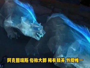 魔兽世界：探索获得罕见宠物巨石之牙的神秘途径