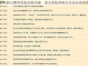 解神者X2兽主搭配攻略详解：兽主搭配策略及实战运用指南