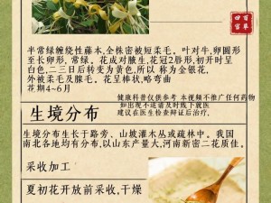 师徒 1v2 金银花，清热解毒，泻火利咽