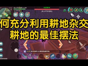 以创造与魔法为引，探秘耕地叠加收获之法