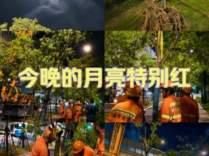 实用好工具，让暴风雨的夜里在公司加班 8 也能轻松应对