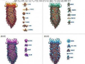 泰拉瑞亚空心柱体的功能与用途解析