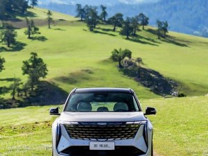 国产 SUV 精品一区二区 88L：高品质、大空间，家庭出行首选