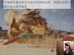 关于魔域英雄深渊巨虫碎片的神秘运用：深渊巨虫碎片的详细介绍与使用指南