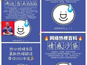 典中典之梗探秘：揭秘网络热词典中典背后的意义与演变