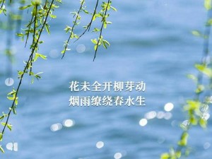 春雨直播免费视频直播，汇聚海量高清视频，精彩不断，让你畅享视觉盛宴