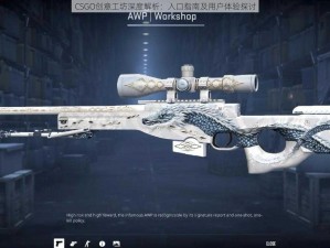 CSGO创意工坊深度解析：入口指南及用户体验探讨