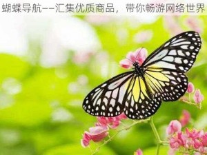 蝴蝶导航——汇集优质商品，带你畅游网络世界