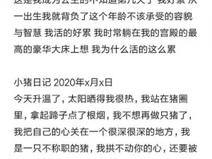 沙雕日记：拯救美女行动策划攻略大全——揭秘步步为营，拯救行动即刻启动