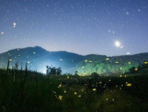 流萤指的是在夏季夜晚中能够发光的萤火虫，它们尾部能够发出微弱的光芒，如同点点繁星