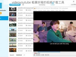 videoyoutube 粗暴好用的视频下载工具