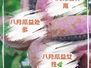 热点吃瓜今日黑料——美味又营养的瓜，你值得拥有