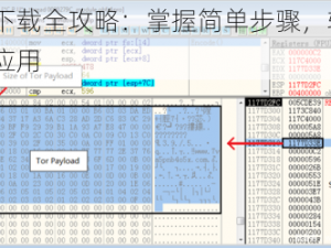 Bryutor下载全攻略：掌握简单步骤，轻松下载Bryutor应用