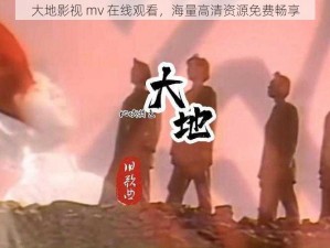 大地影视 mv 在线观看，海量高清资源免费畅享