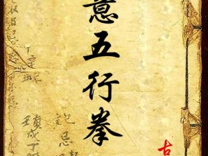 功夫手游绝世武功秘籍揭秘，玩法创新抢先体验：独步江湖的神秘招式探寻