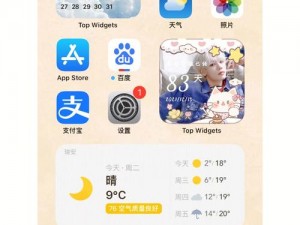 寻找Top Widgets：我的组件保存之所在