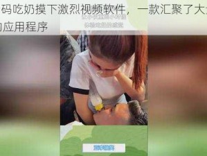 A 片无码吃奶摸下激烈视频软件，一款汇聚了大量精彩视频的应用程序