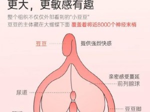 高潮 30 分钟：极致私密体验