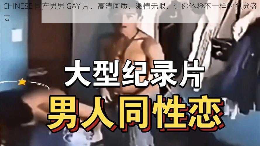 CHINESE 国产男男 GAY 片，高清画质，激情无限，让你体验不一样的视觉盛宴