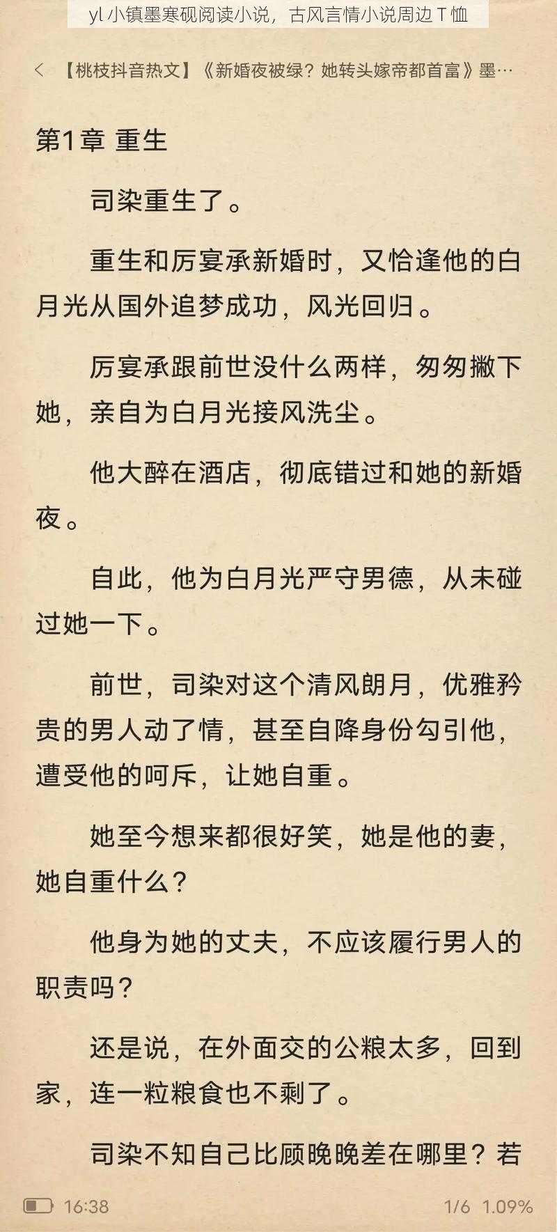 yl 小镇墨寒砚阅读小说，古风言情小说周边 T 恤