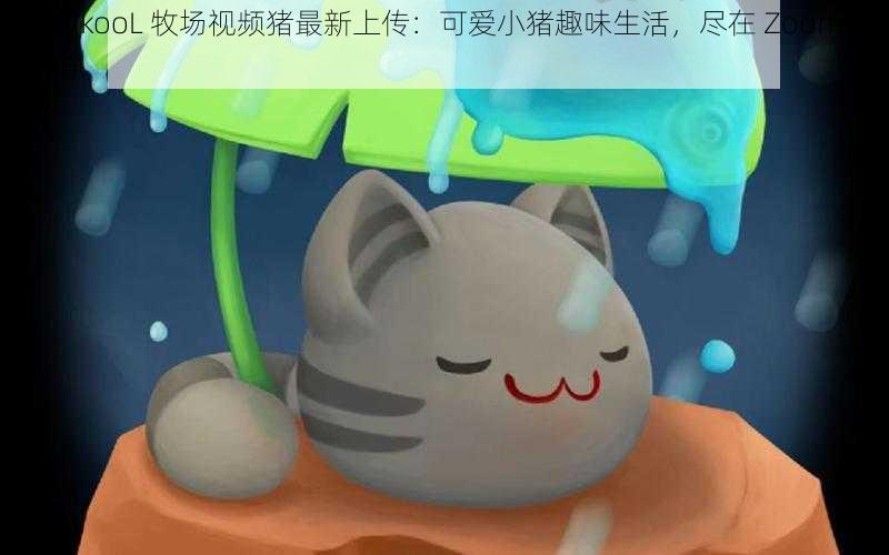 ZoomkooL 牧场视频猪最新上传：可爱小猪趣味生活，尽在 ZoomkooL 牧场