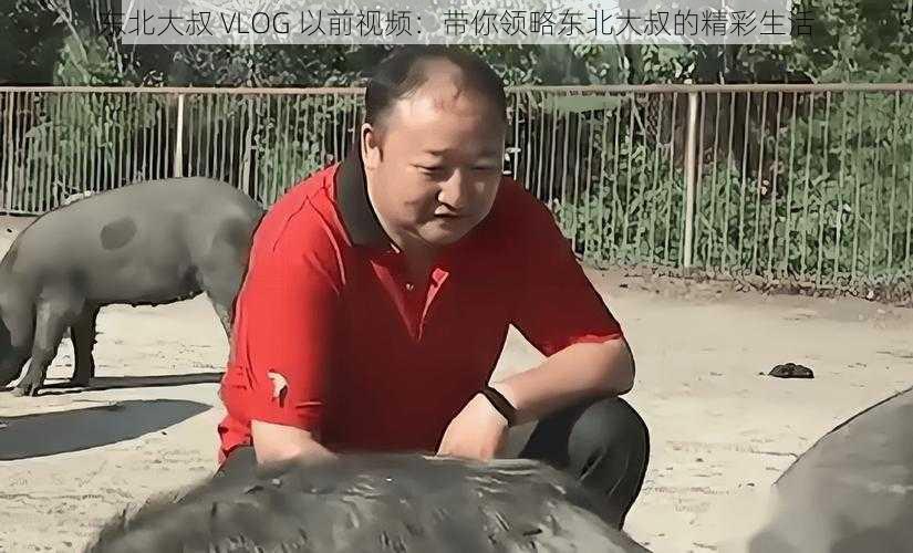 东北大叔 VLOG 以前视频：带你领略东北大叔的精彩生活