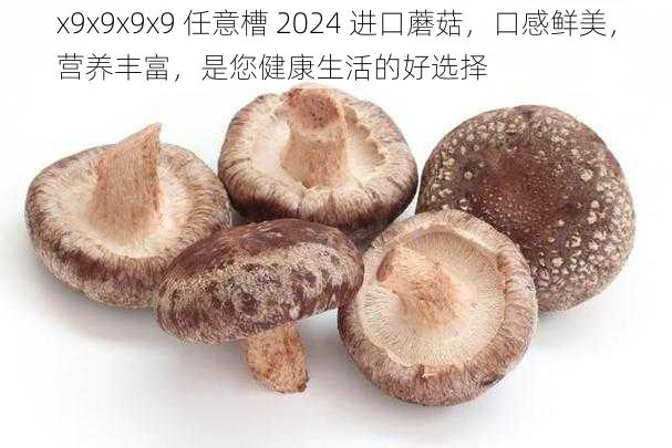 x9x9x9x9 任意槽 2024 进口蘑菇，口感鲜美，营养丰富，是您健康生活的好选择