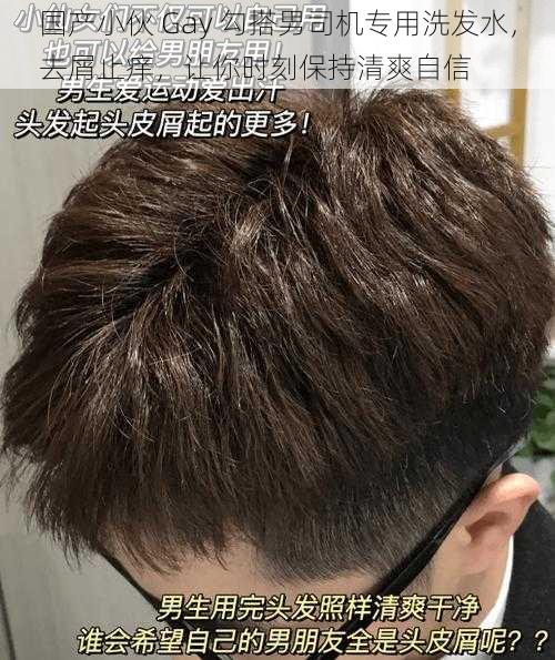 国产小伙 Gay 勾搭男司机专用洗发水，去屑止痒，让你时刻保持清爽自信