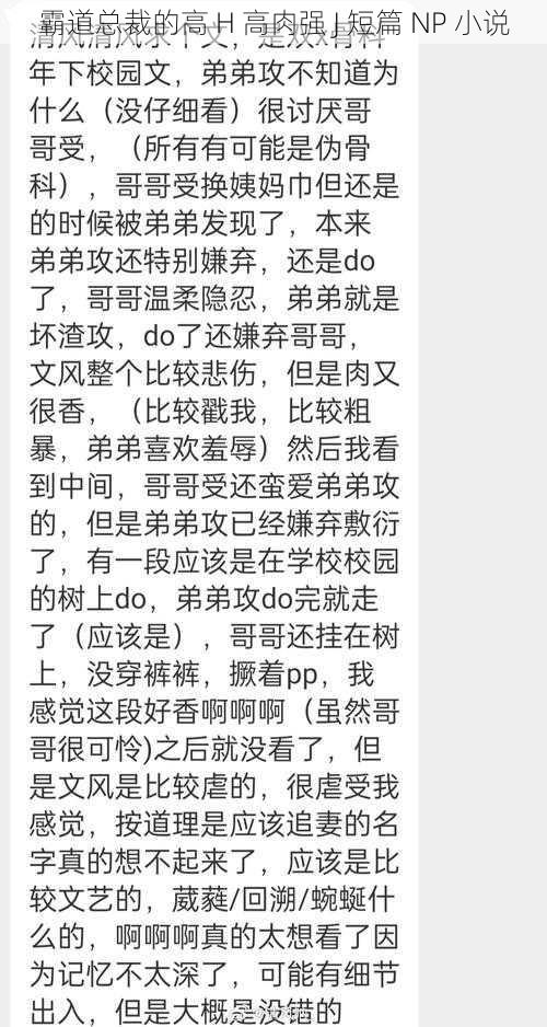 霸道总裁的高 H 高肉强 J 短篇 NP 小说