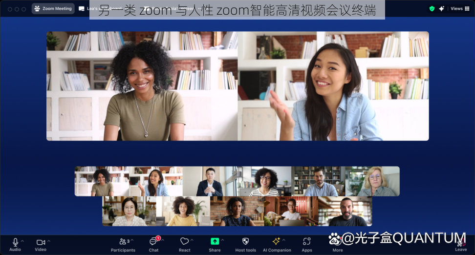 另一类 zoom 与人性 zoom智能高清视频会议终端