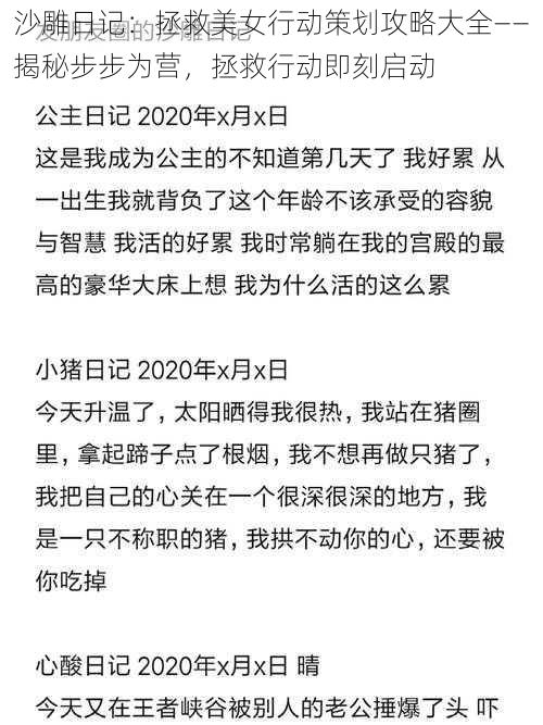 沙雕日记：拯救美女行动策划攻略大全——揭秘步步为营，拯救行动即刻启动