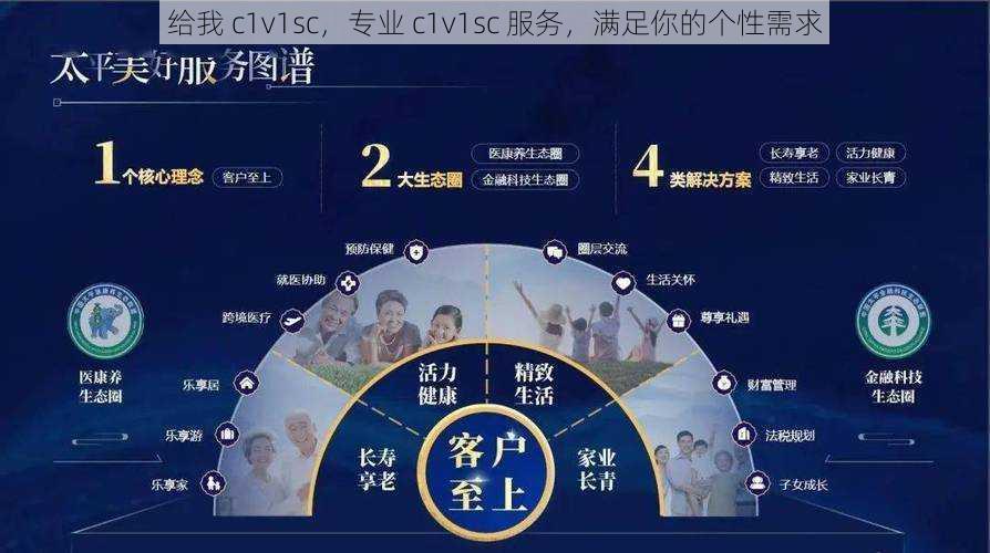 给我 c1v1sc，专业 c1v1sc 服务，满足你的个性需求