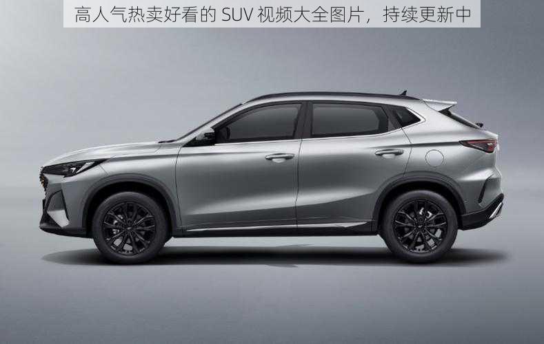 高人气热卖好看的 SUV 视频大全图片，持续更新中