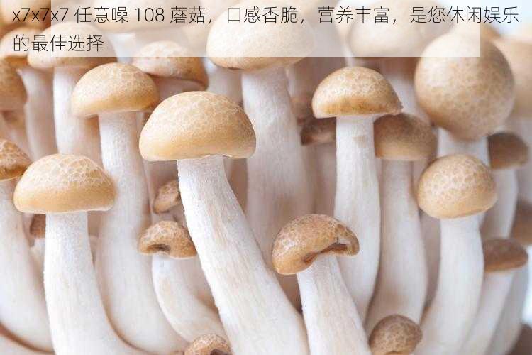 x7x7x7 任意噪 108 蘑菇，口感香脆，营养丰富，是您休闲娱乐的最佳选择