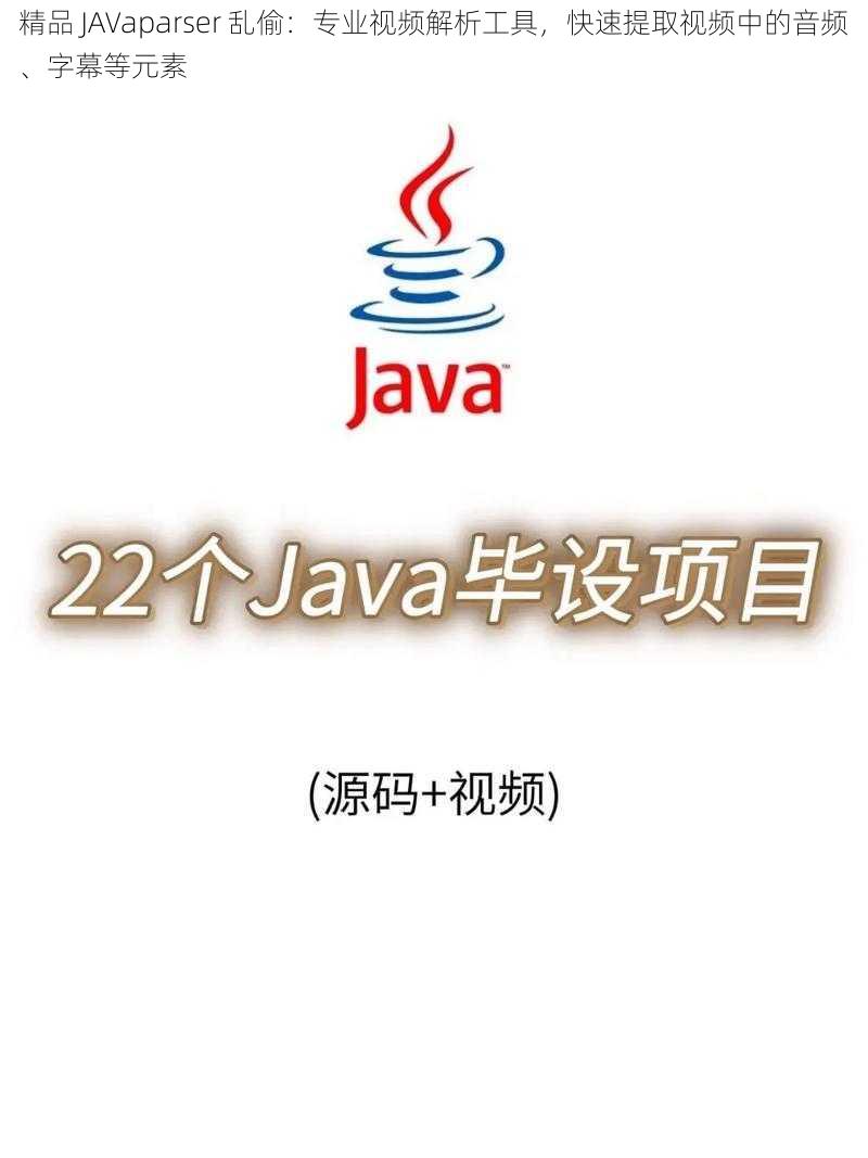 精品 JAVaparser 乱偷：专业视频解析工具，快速提取视频中的音频、字幕等元素