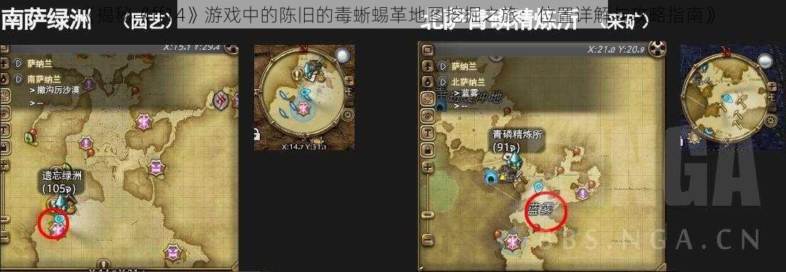 《揭秘《ff14》游戏中的陈旧的毒蜥蜴革地图挖掘之旅：位置详解与攻略指南》