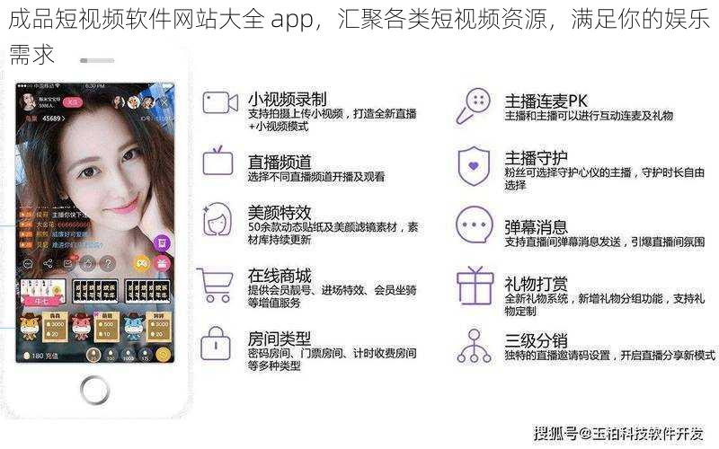 成品短视频软件网站大全 app，汇聚各类短视频资源，满足你的娱乐需求