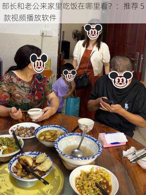 部长和老公来家里吃饭在哪里看？：推荐 5 款视频播放软件