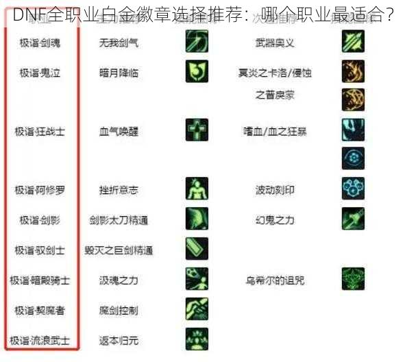 DNF全职业白金徽章选择推荐：哪个职业最适合？