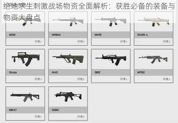 绝地求生刺激战场物资全面解析：获胜必备的装备与物资大盘点