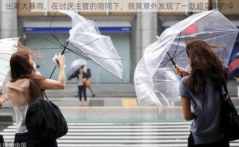 出差大暴雨，在讨厌主管的陪同下，我竟意外发现了一款超实用的伞