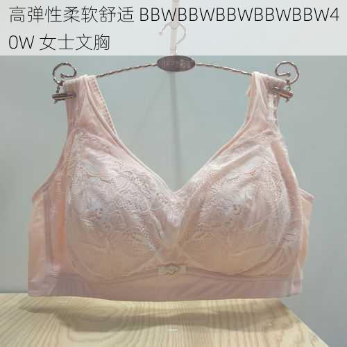 高弹性柔软舒适 BBWBBWBBWBBWBBW40W 女士文胸