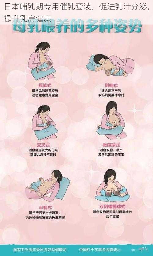 日本哺乳期专用催乳套装，促进乳汁分泌，提升乳房健康