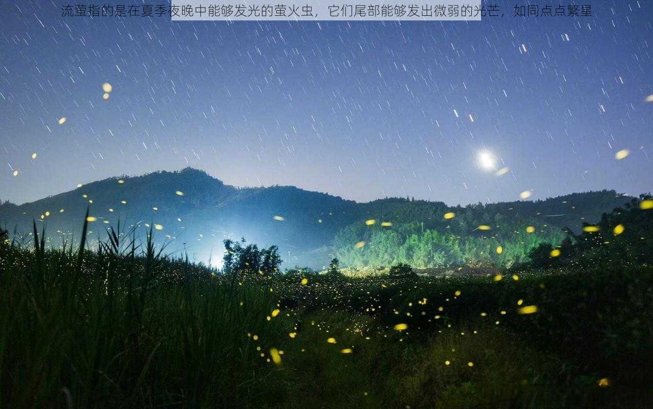 流萤指的是在夏季夜晚中能够发光的萤火虫，它们尾部能够发出微弱的光芒，如同点点繁星