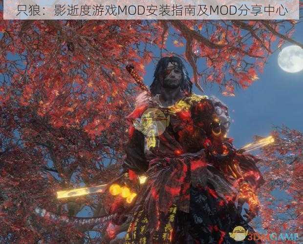 只狼：影逝度游戏MOD安装指南及MOD分享中心