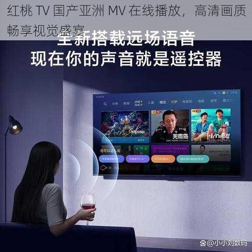 红桃 TV 国产亚洲 MV 在线播放，高清画质畅享视觉盛宴